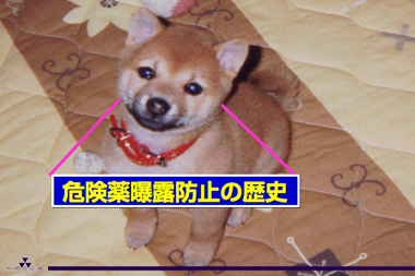 危険薬曝露防止の歴史