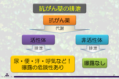 抗がん薬の排泄