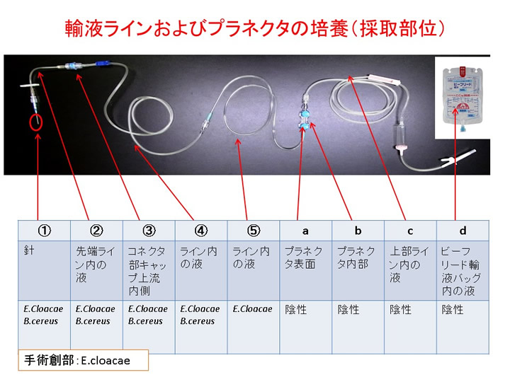 資料